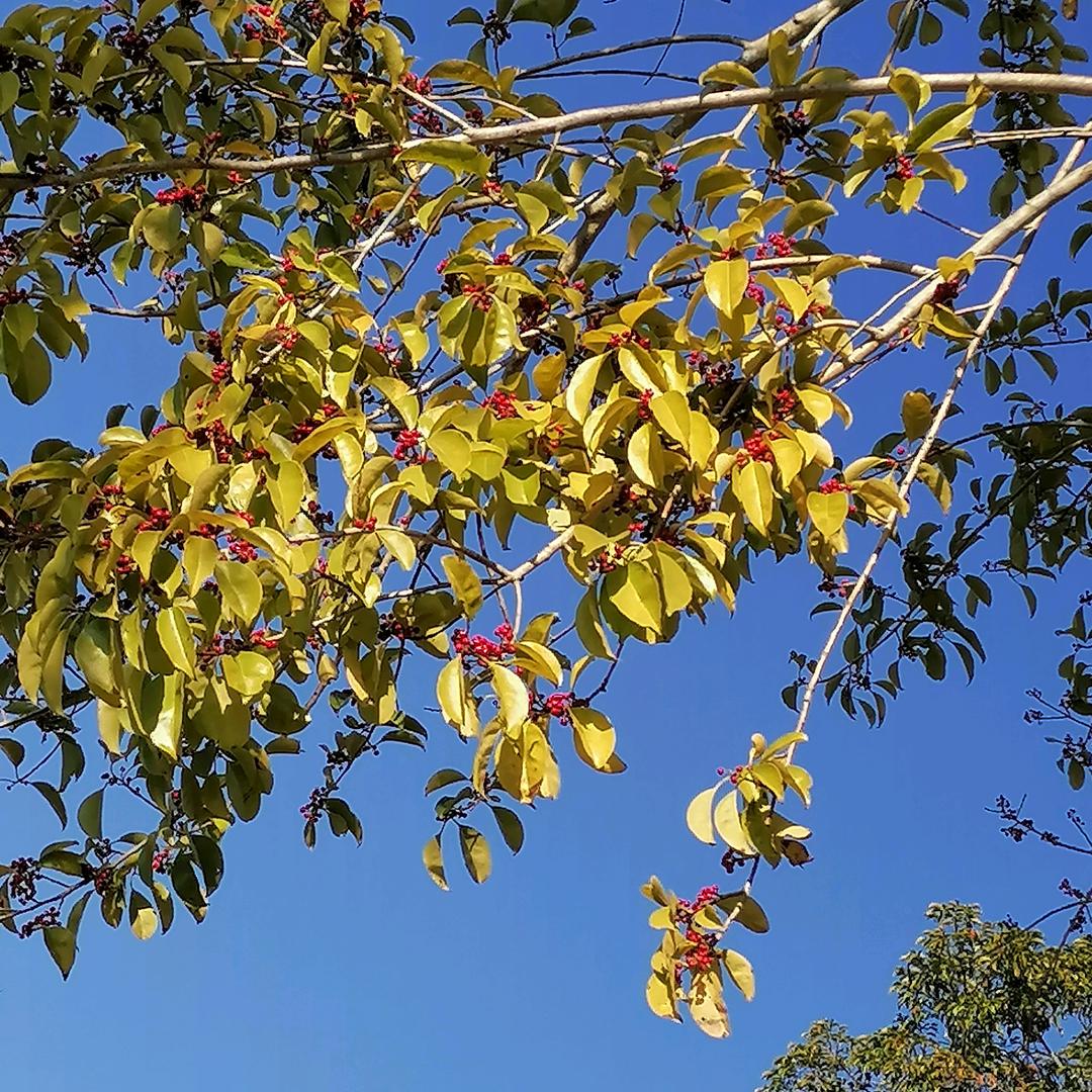 静心