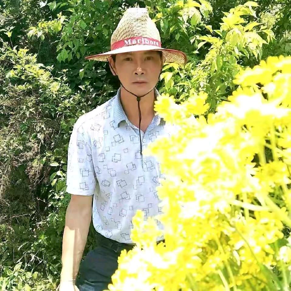 我不是你的唯一
