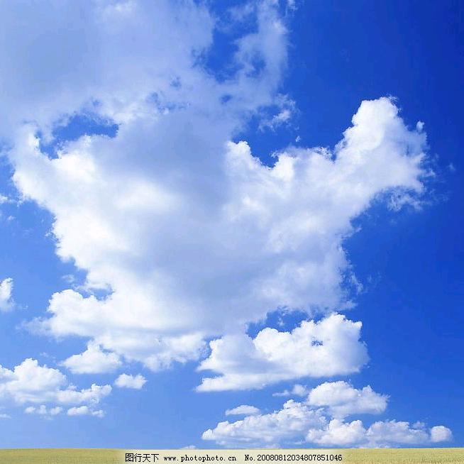 丫头