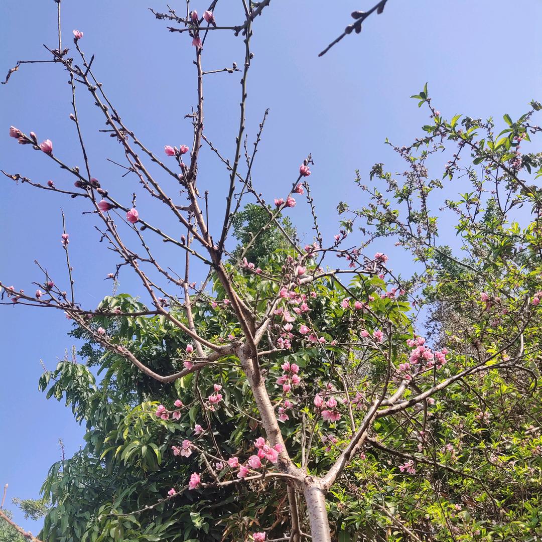 心有余悸