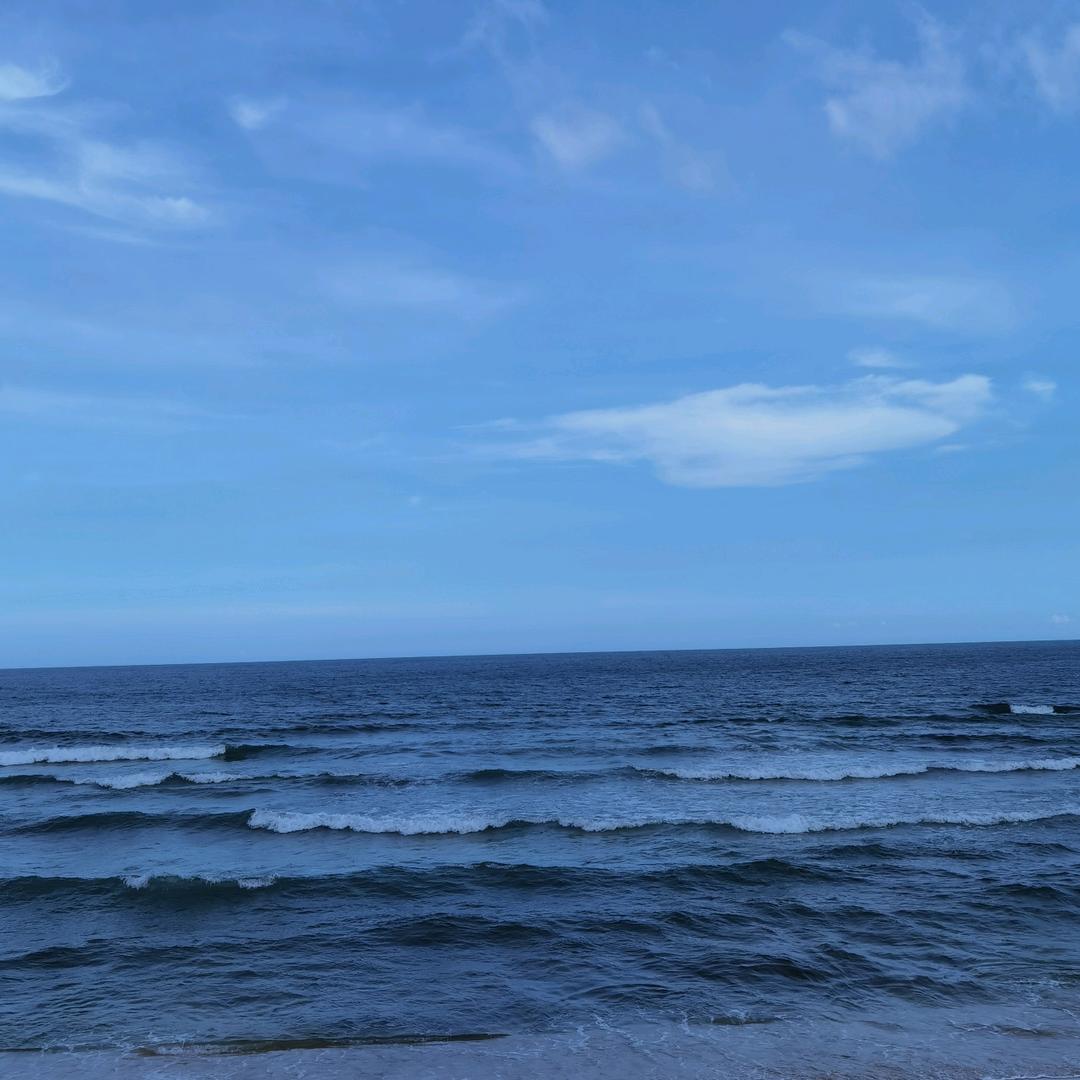 哈利波特