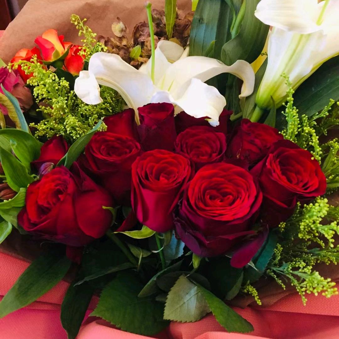 亮丽人生75年的兔