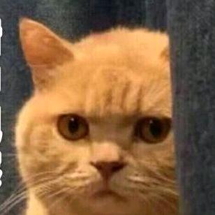 🤔️