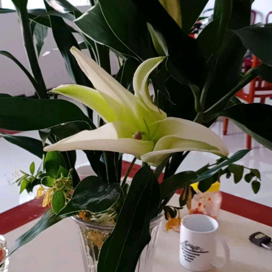 奋斗的农村人