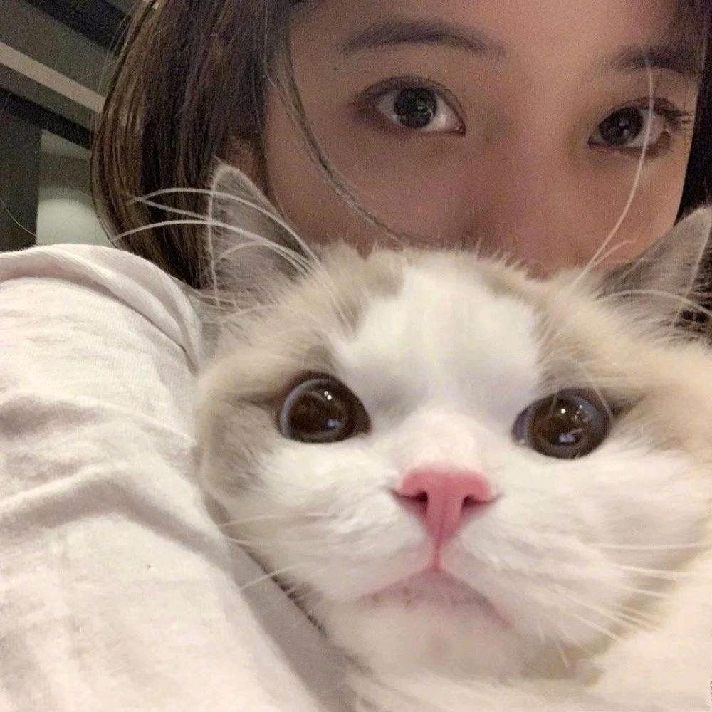 momo严选