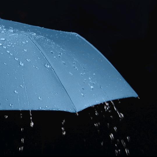 泽雨精品水果商行……
