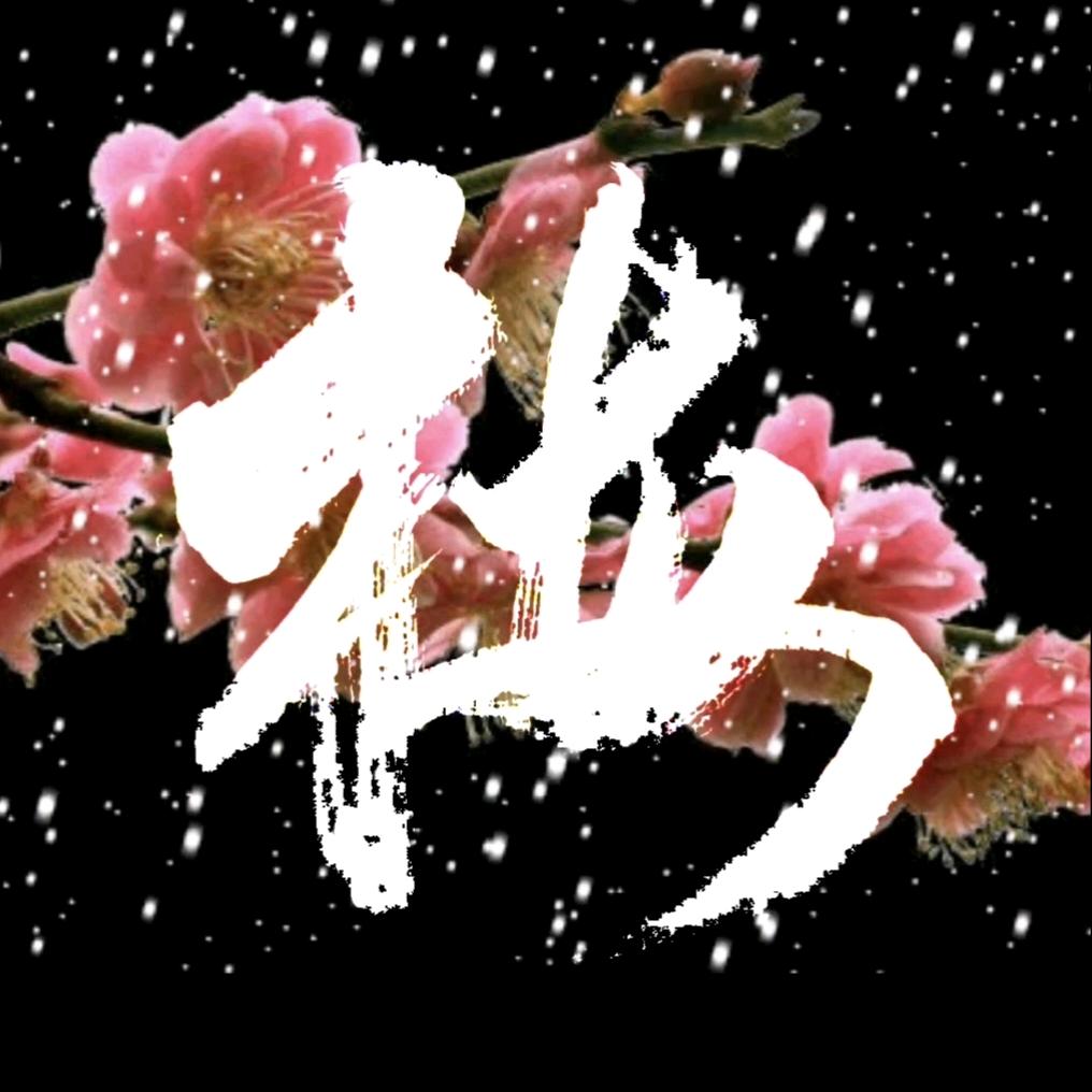 暗香-师从洺渪