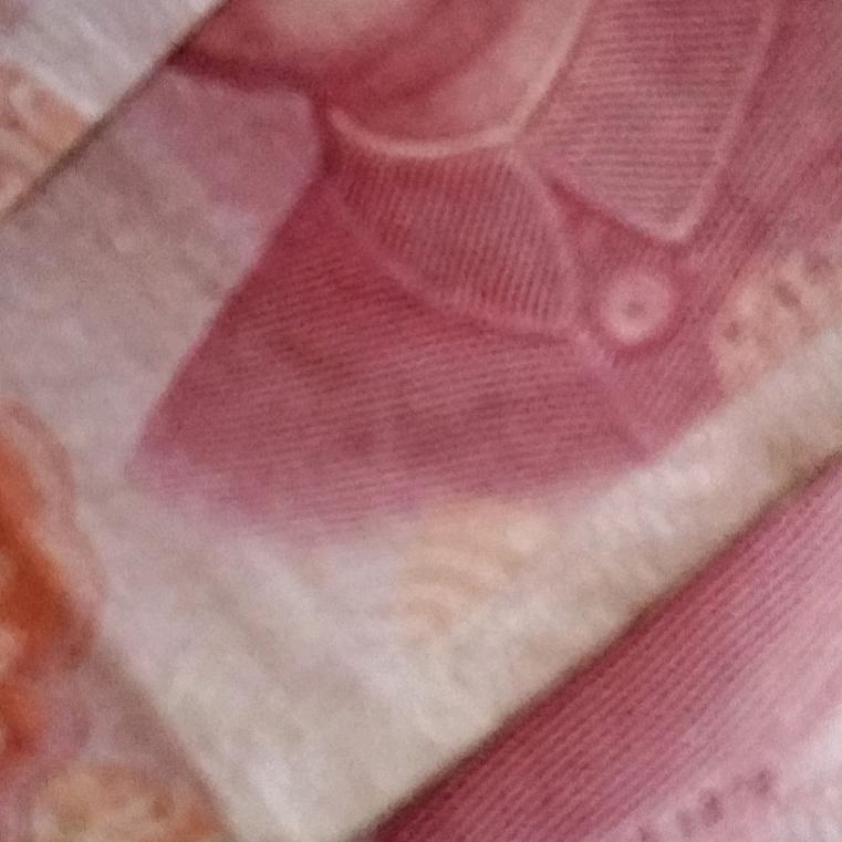 飞天虎