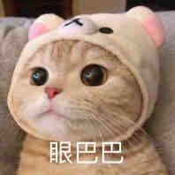 乌兰巴托的夜✍️