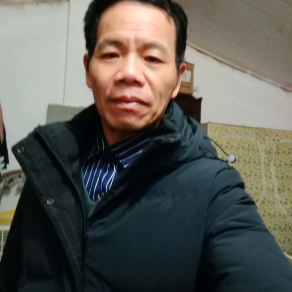 刘金保