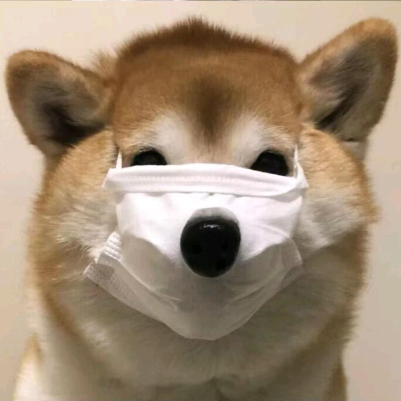 薛定鄂