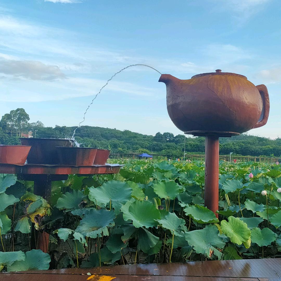 因为我是桃子🍑