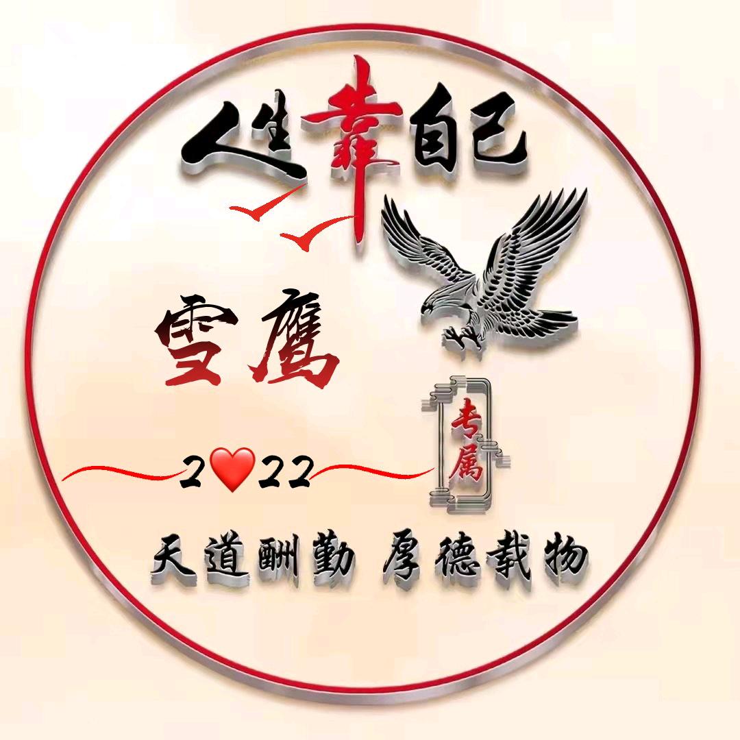 雪鹰👮