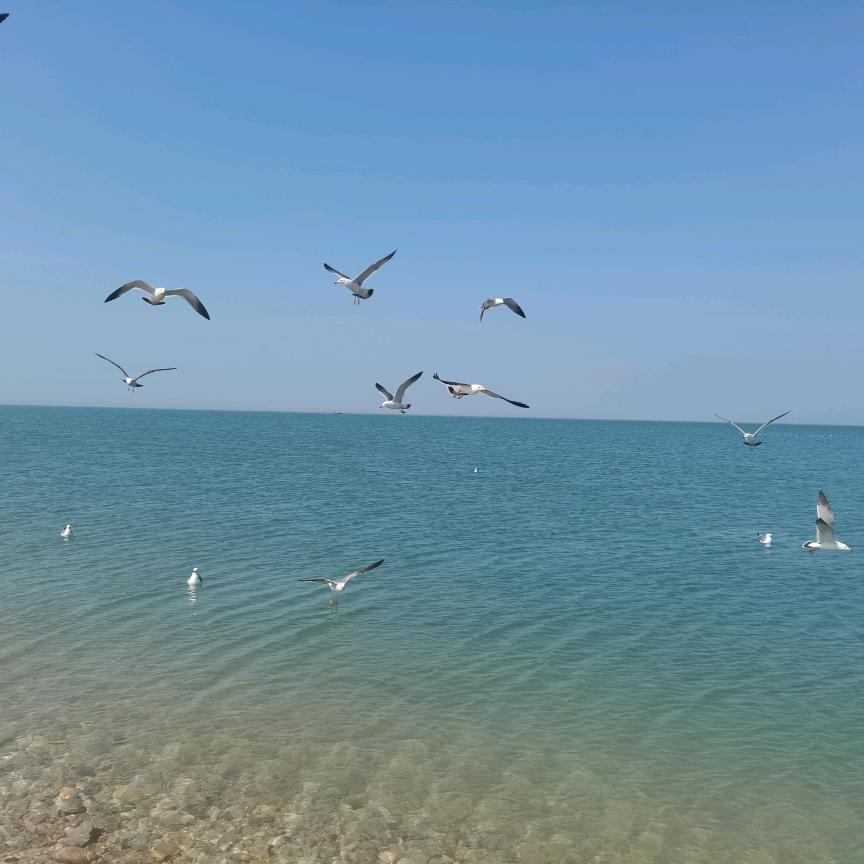 安丘市安达汽修厂