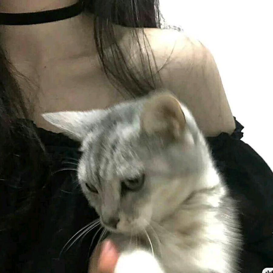 溪