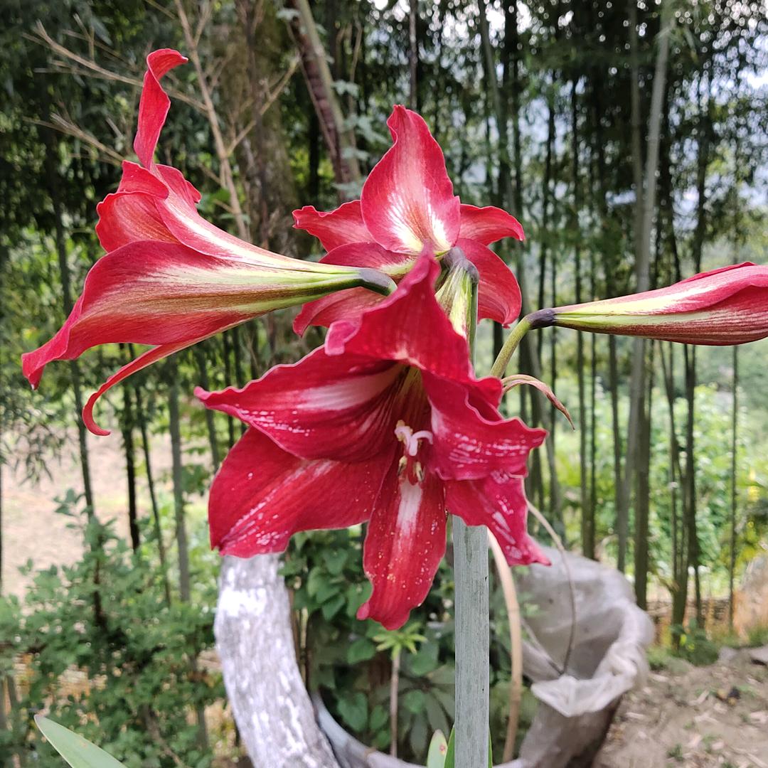 智~展翅高飞
