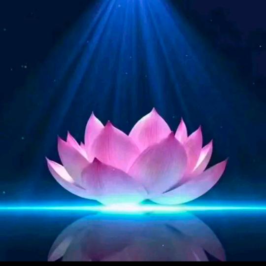 🥀এ᭄累了ꦿ谁💔疼ོ࿐ᩚ