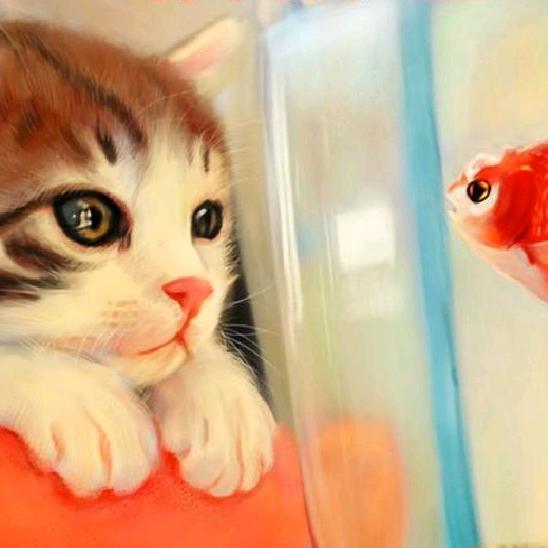 小鱼儿逗小猫咪