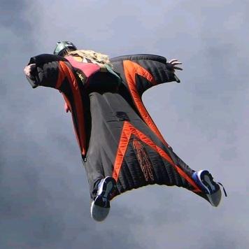 烧不死的鸟是凤凰