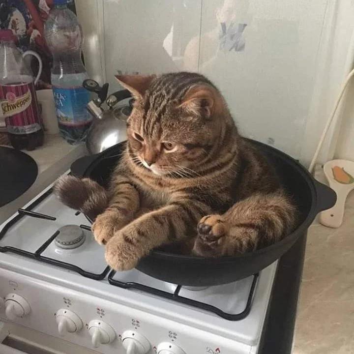 期待下次见面