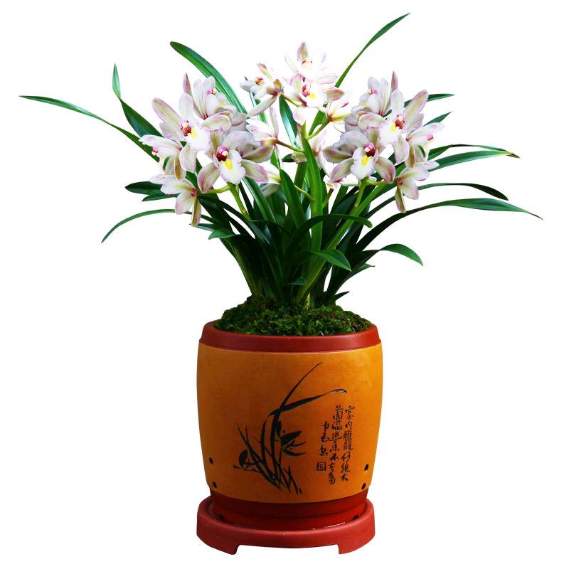 小五加油吧