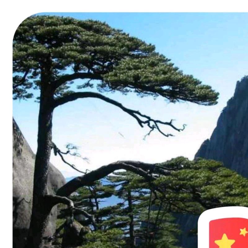 铜都