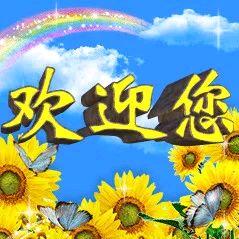 森00