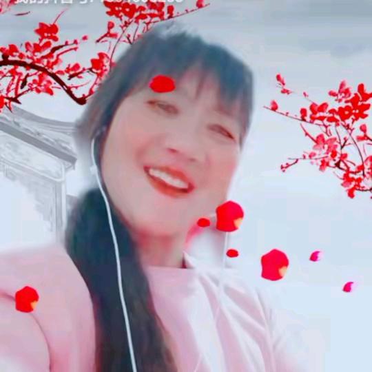 春夏秋冬新号（每天晚上九点开播）