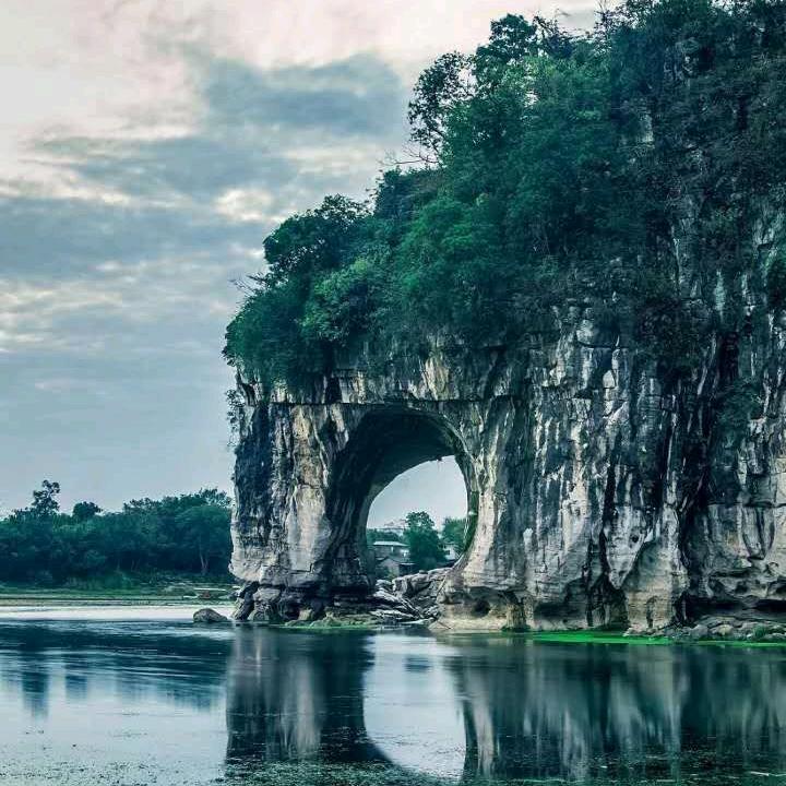 一棵树🌲🌲