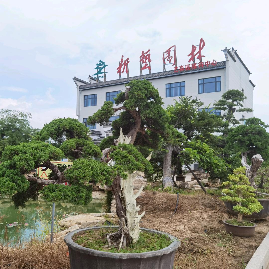 江苏新艺园林