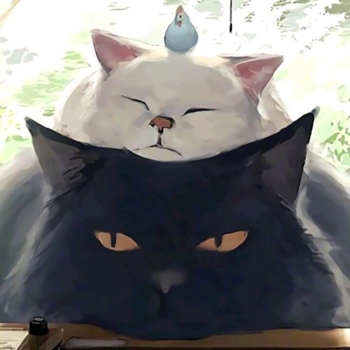 张尘蓦