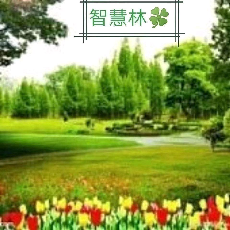 智慧林（相互尊重必回关）
