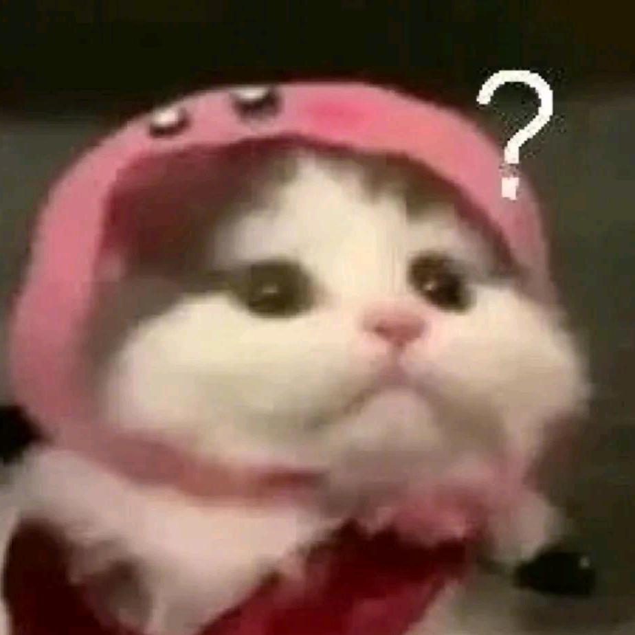 阿琦