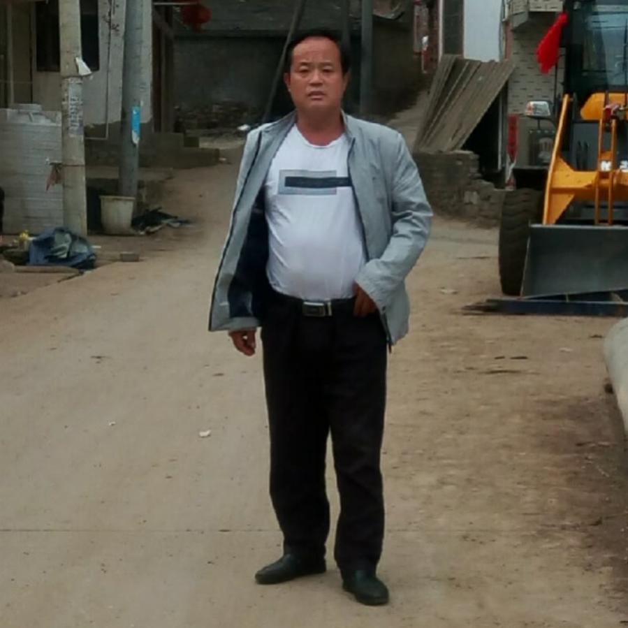 陶哥