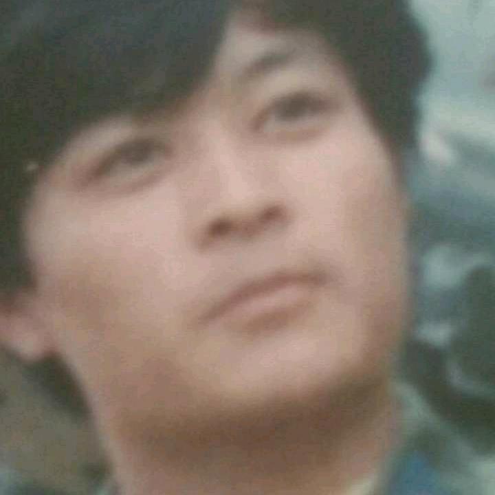 宝哥