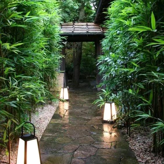 范小哥