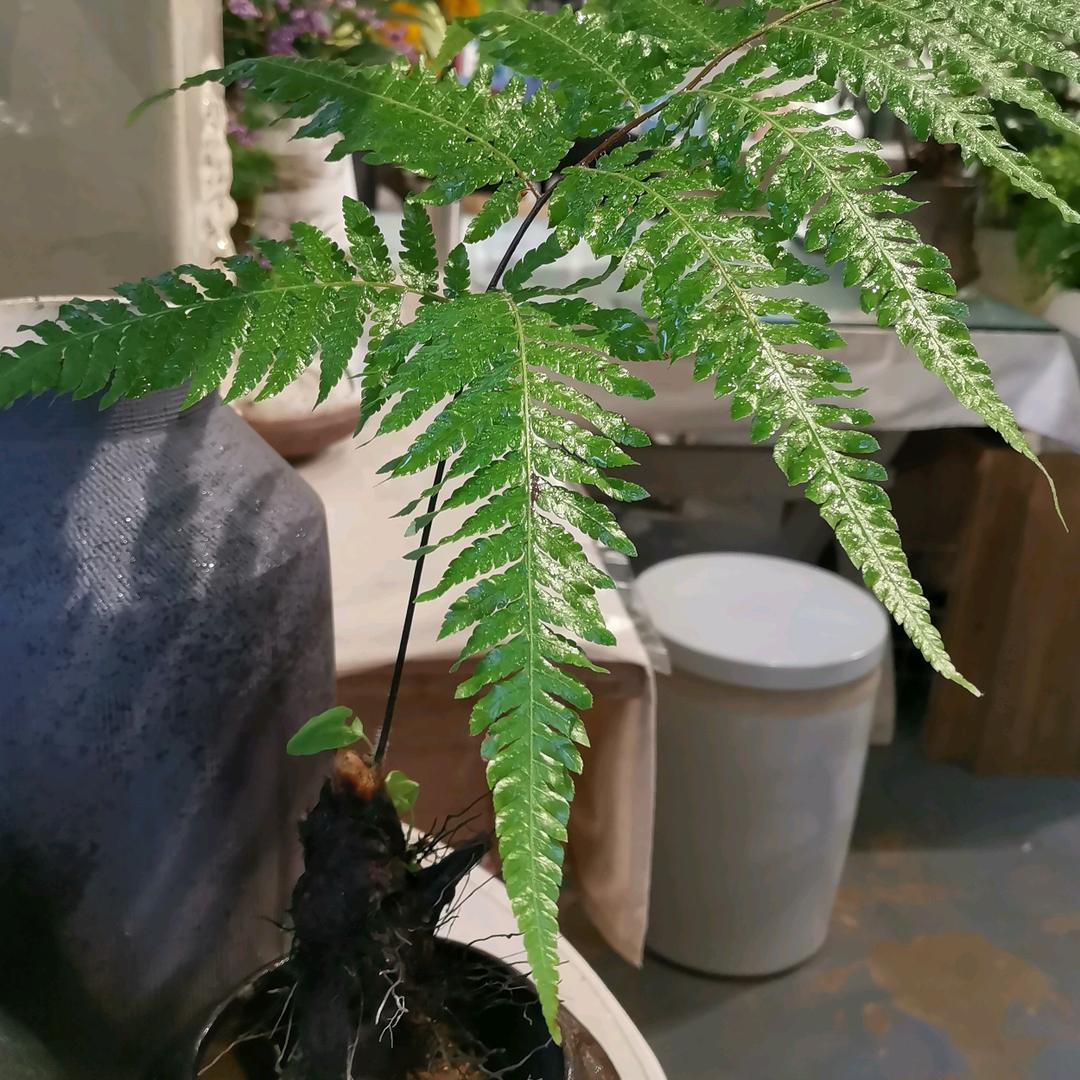 那个胖子🤭