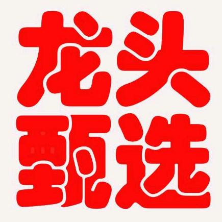 龙头甄选
