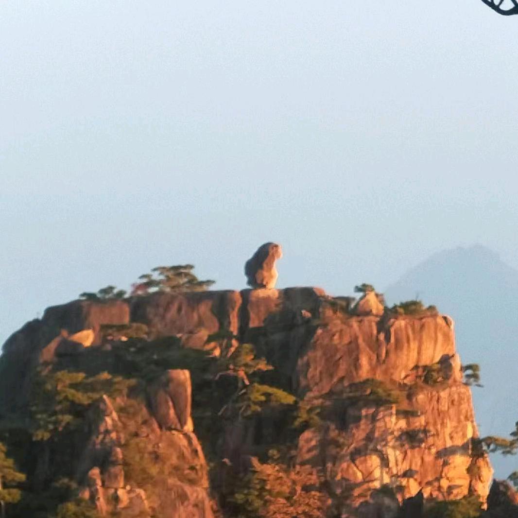 爱吃鱼🐟的山魈