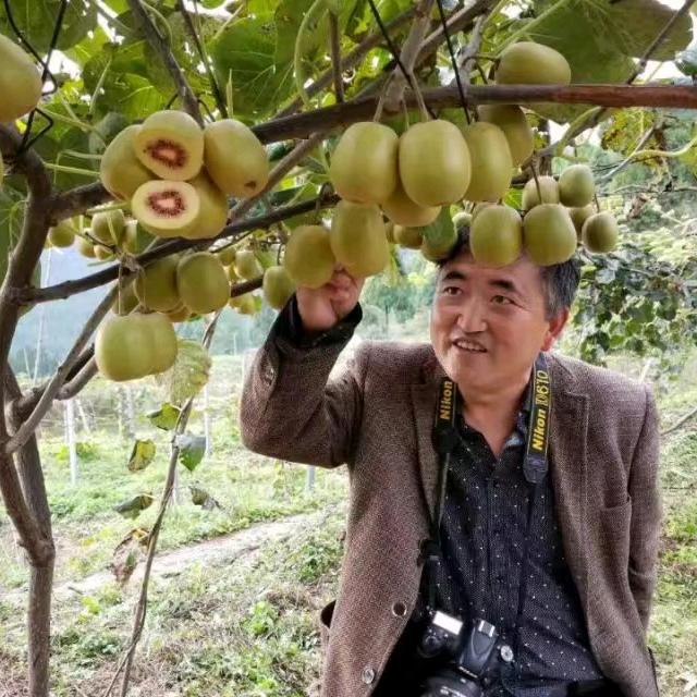 伍洪昭  红阳有机种植