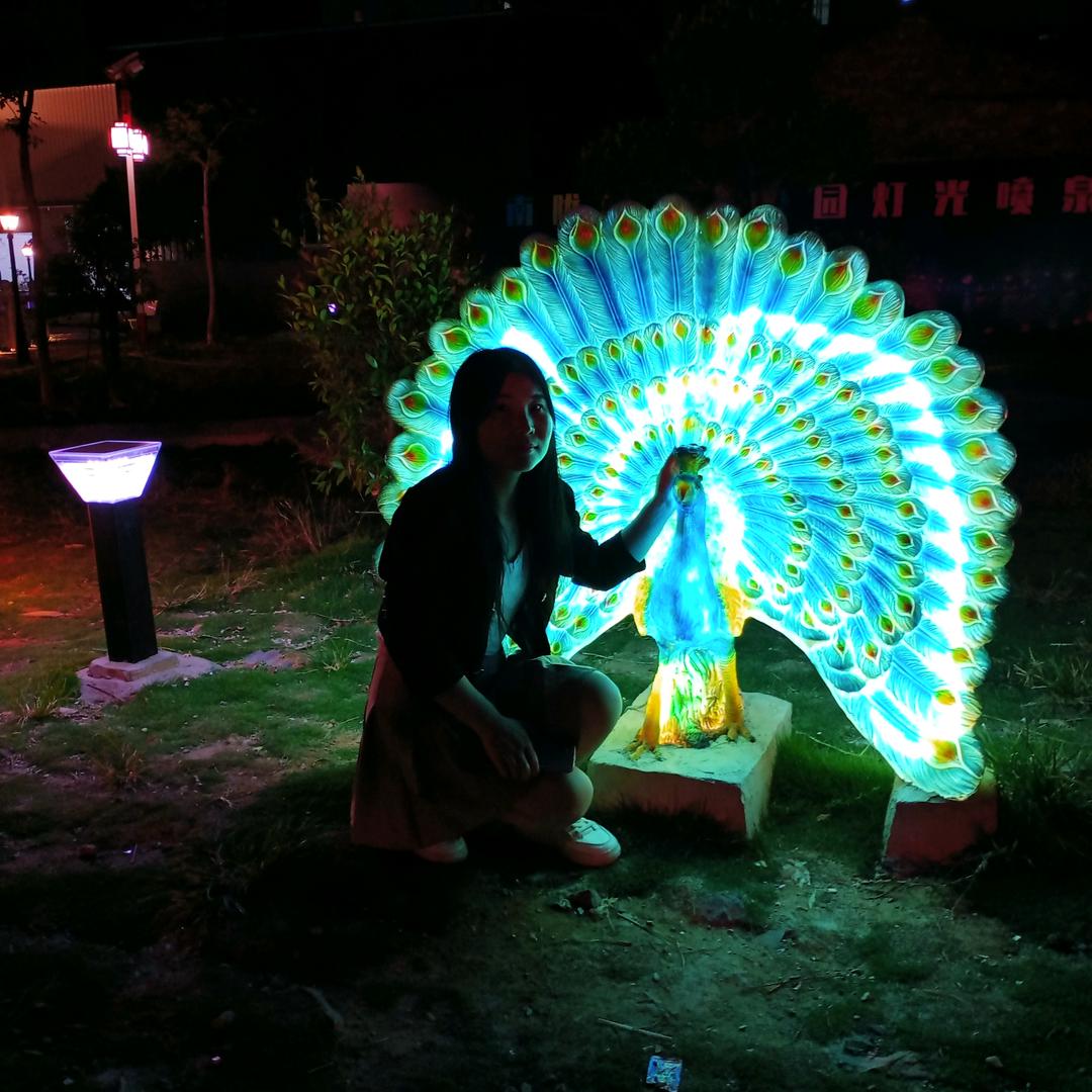 🦋  一切看淡🌸