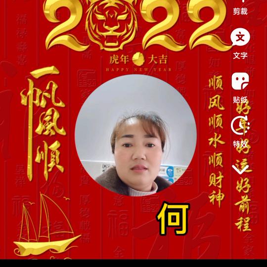 琴《75年的兔🐰》