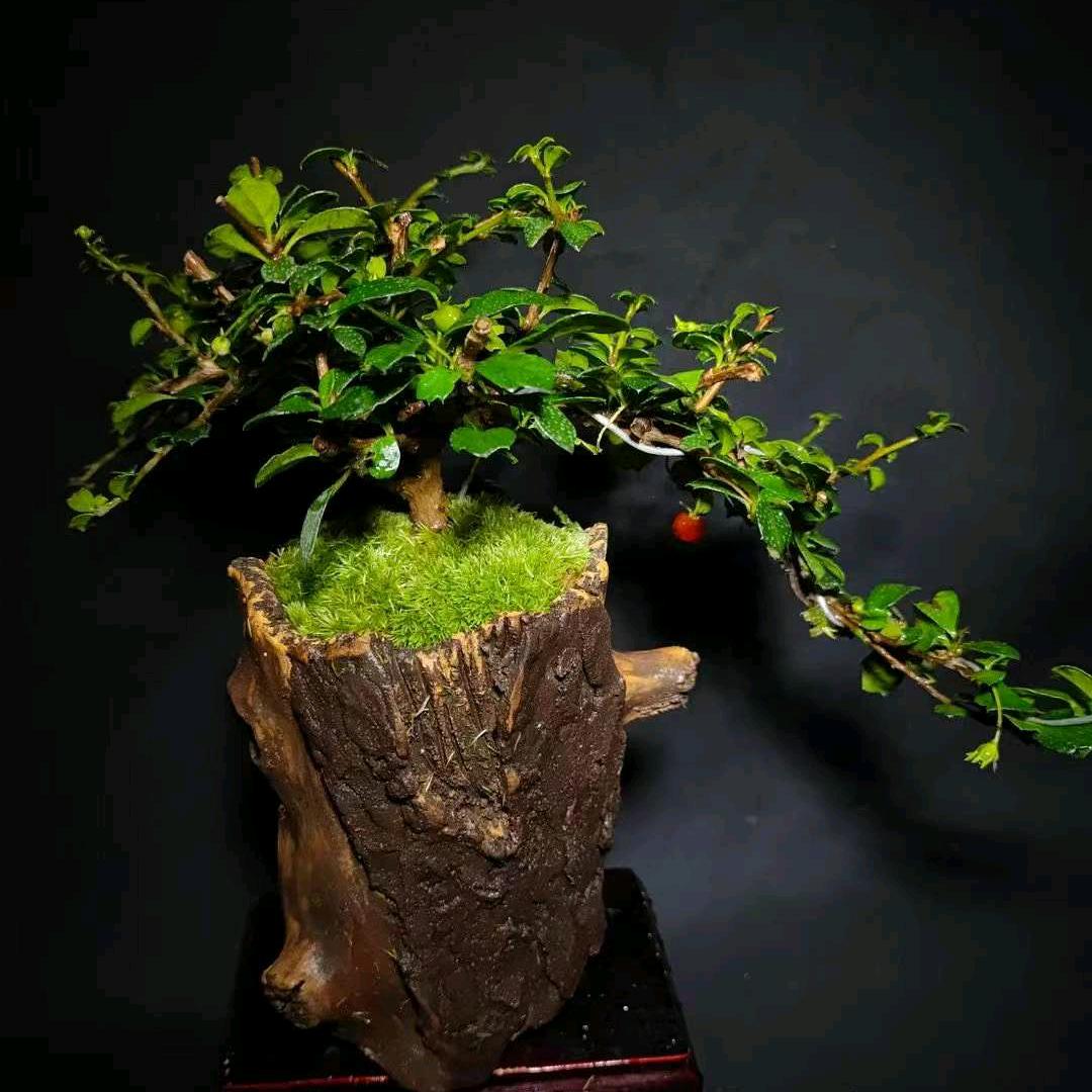 润一紫砂花盆