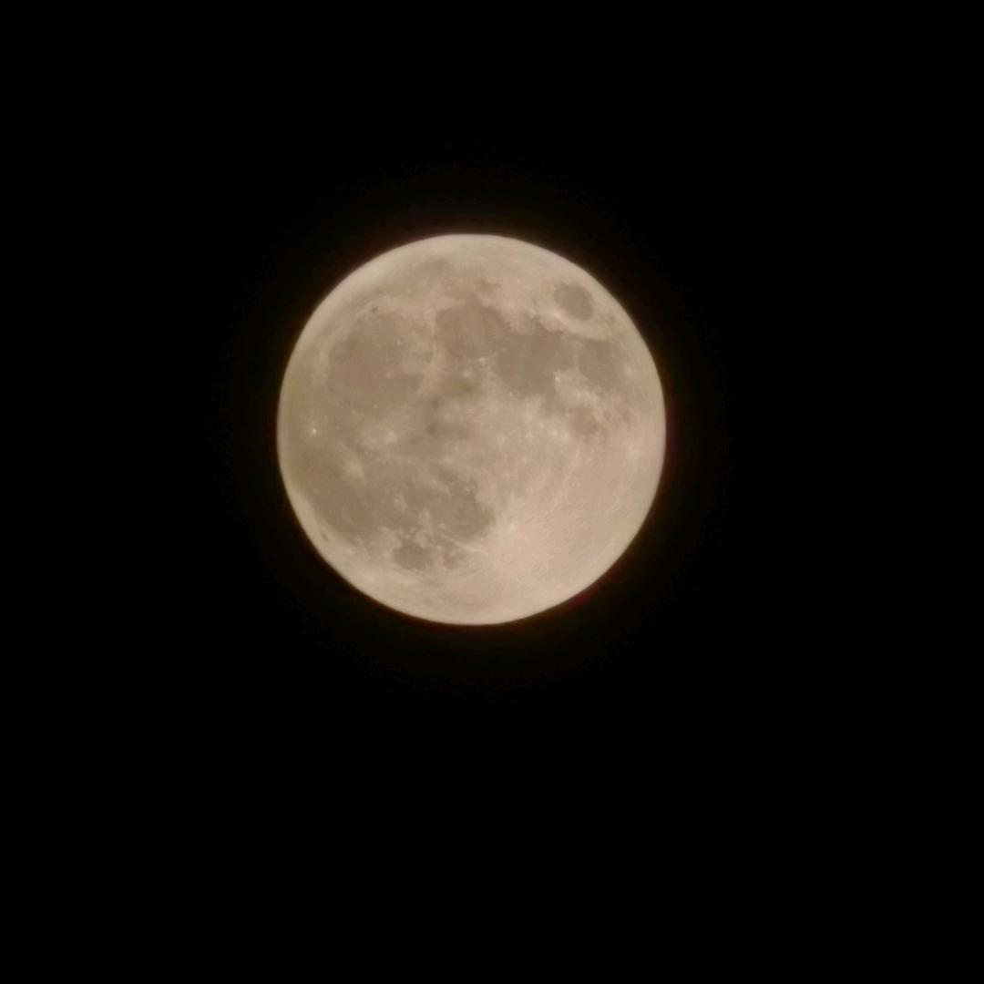 掉不完的头发🌈🌈