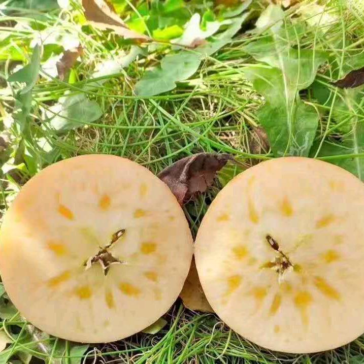 卖苹果大叔