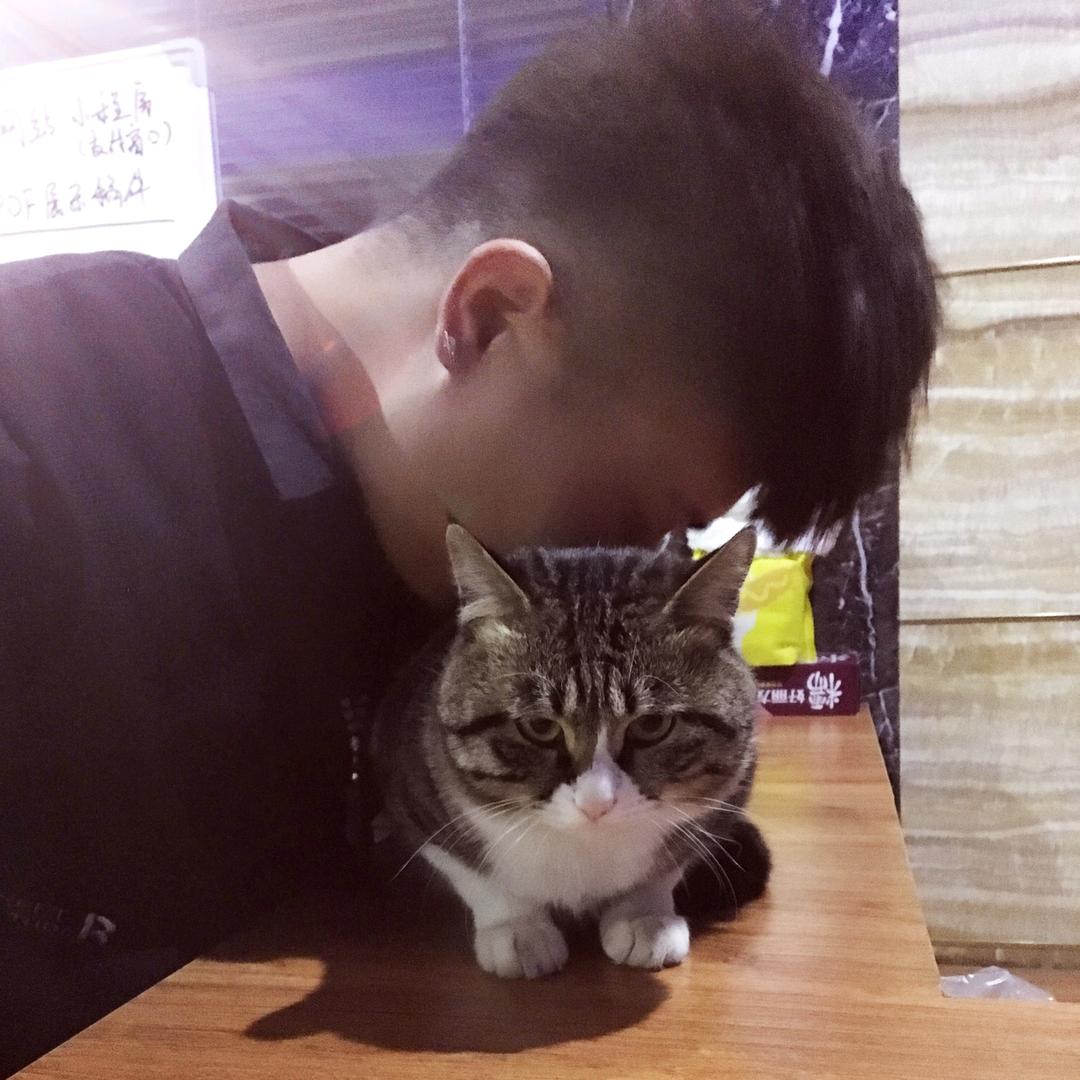 星锐锐啊