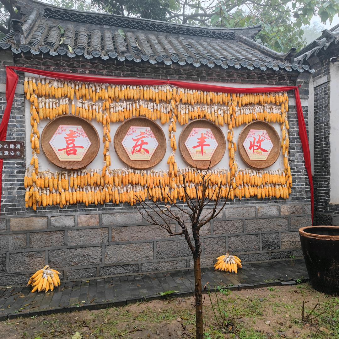 🌻五谷丰登🌻