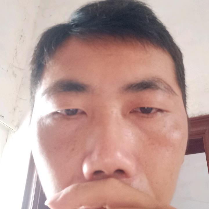 我本有心向明月