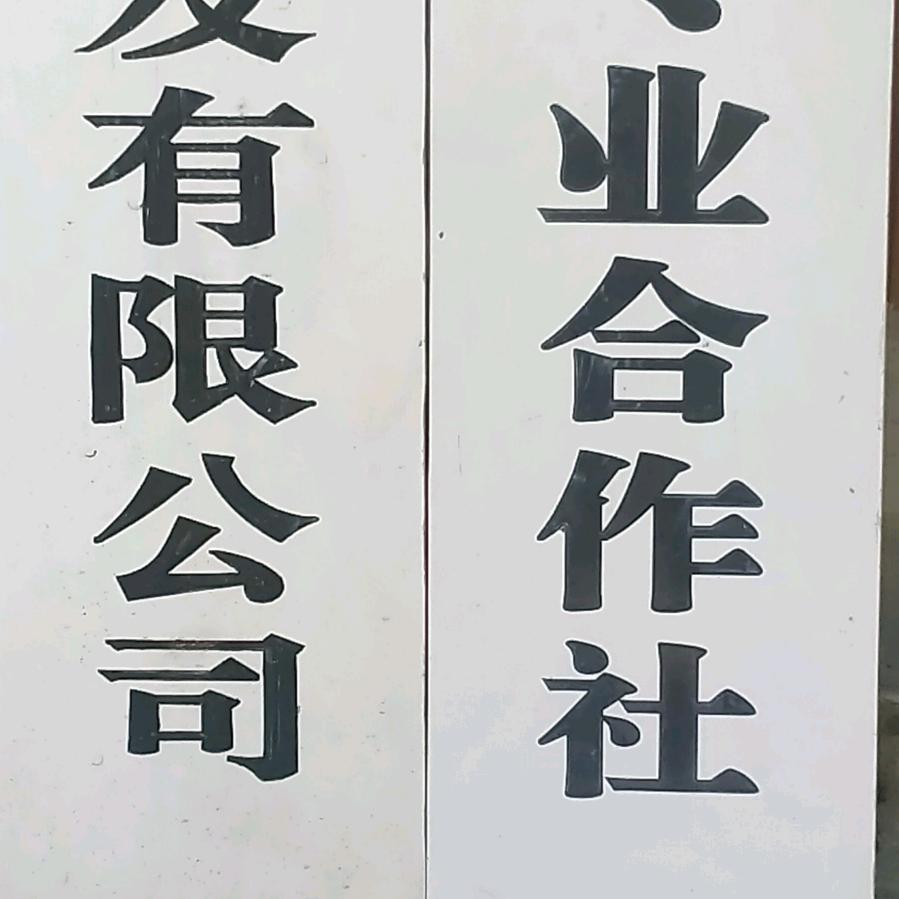 中药材发展种植找丽江春哥