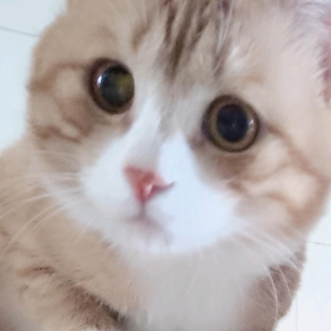 小松